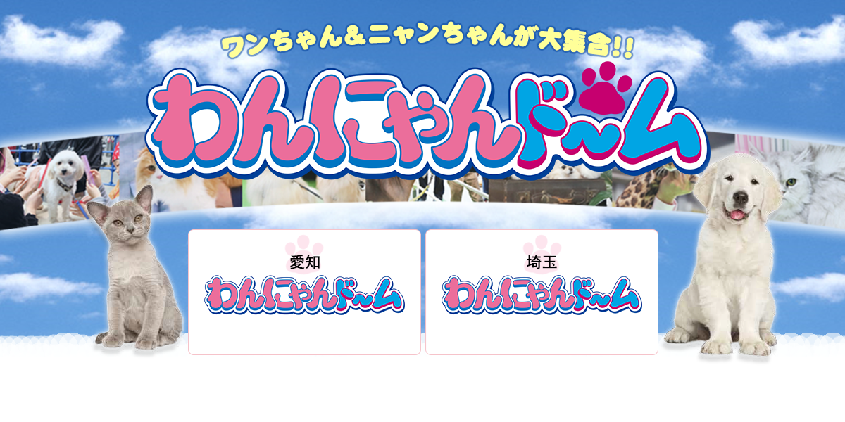 ドーム わん 2021 にゃん